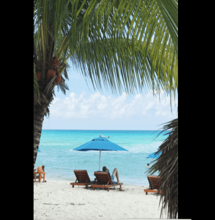 Top Hotels in Miami